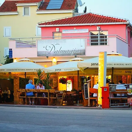 Stepic * טרוגיר